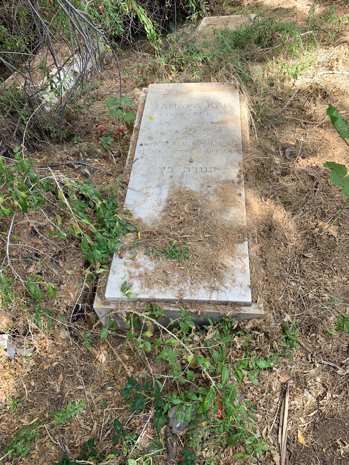 WhatsApp Image 2021-05-31 at 10.49.01 AM (1).jpeg